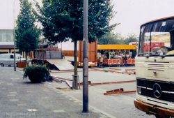 1981