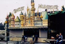 1981