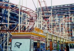 1981