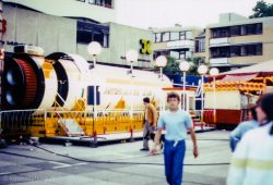 1981