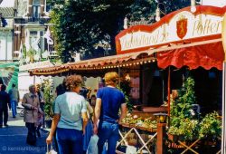 1981
