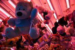 2008, Kermis, Tilburg, Tilburgse kermis, roze maandag
