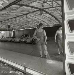 1976: Collectie Van Eijndhoven