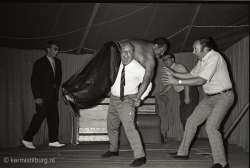 1969: Collectie Van Eijndhoven