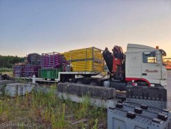2025, Kermis, Tilburg, Tilburgse kermis, transport